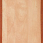 ΠΟΡΤΑΚΙ SOFT FORMING ΜΗΛΙΑ ΜΗΛΙΑ ΣΚΟΥΡΑ (736)