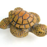 ΠΟΜΟΛΑΚΙ TURTLE