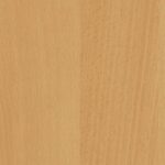 ΜΕΛΑΜΙΝΗ ΑΚΡΙΤΑ ΒΕΝΕΤΙΚΟ