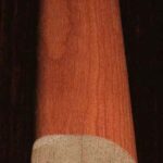 ΚΟΡΝΙΖΑ ΚΟΥΖΙΝΑΣ 1