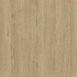 1584 RGS3 Vega VARIO