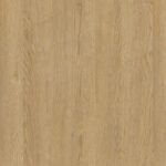 1585 RGS3 Carina VARIO