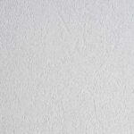 600 Stone White VARIO