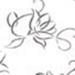 6153- white-flow GIZIR