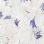 ΜΕΛΑΜΙΝΗ  AKRITA CARTA DI RISO 25