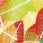 ΜΕΛΑΜΙΝΗ AKRITAS FOGLIE 28