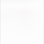 U8681 VL White Alaska