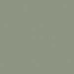 Light Green Super Matte